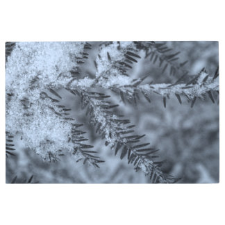 Snow on Pine Needles Metal Print