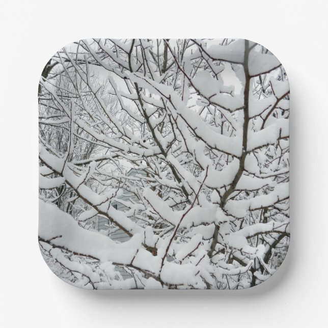 SNOW ON THE BRANCHES  PAPER PLATES (Front)