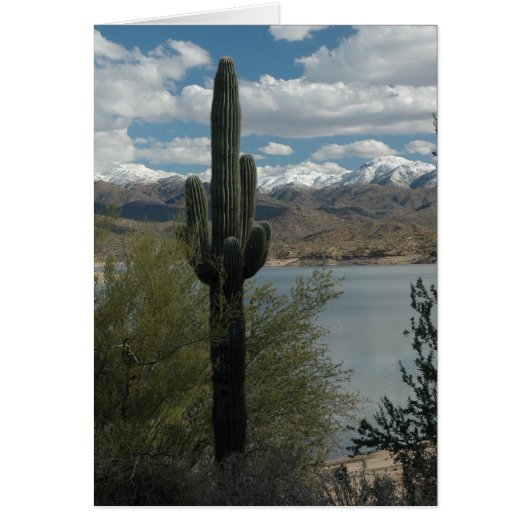 SNOW ON THE PEAKS (Front)