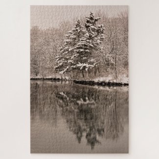 Snow Over Lake Winter Wonderland Vintage Landscape