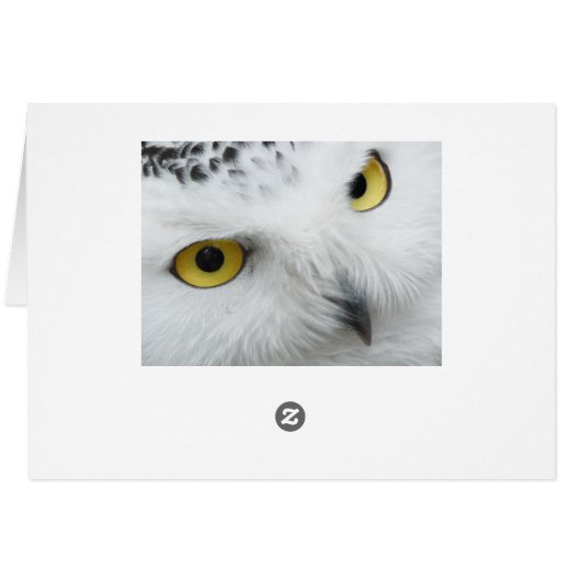 Snow Owl (Back Horizontal)