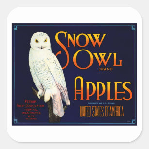 Snow Owl Apples Square Sticker
