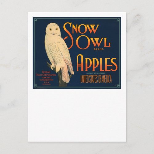 Snow Owl Brand Apples Postcard