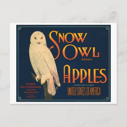 Snow Owl Brand Apples Vintage Crate Label Postcard