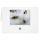 Snow Owl Cards (Back Horizontal)
