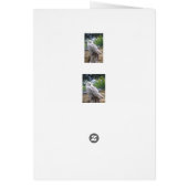 Snow owl cards (Back)