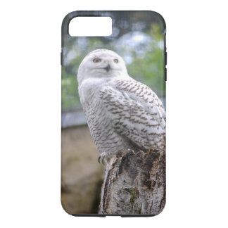 Snow owl iPhone 8 plus/7 plus case
