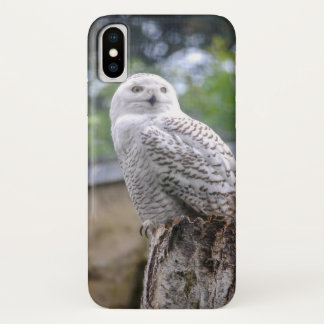 Snow owl iPhone x case
