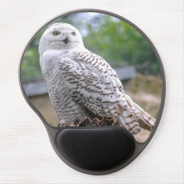 Snow owl gel mouse pad (Front)