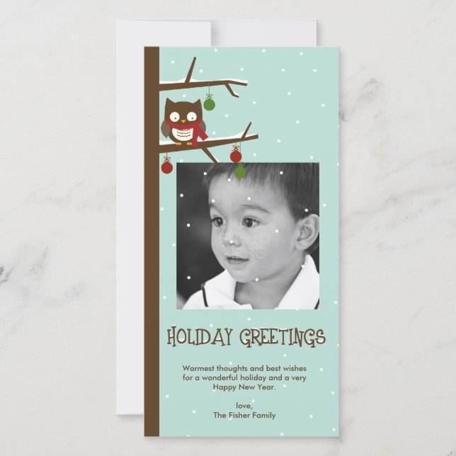 Snow Owl Holiday Photo Card (Front)