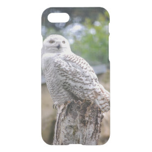 Snow owl... iPhone 7 Clearly™ Deflector Case