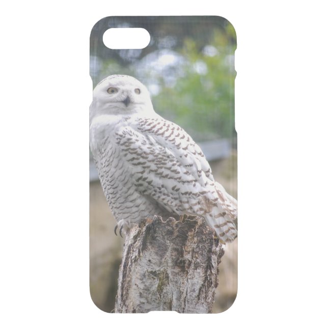 Snow owl... iPhone 7 Clearly™ Deflector Case (Back)