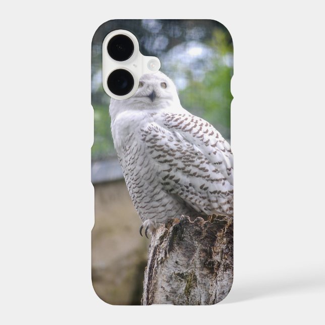 Snow owl iphone case (Back)