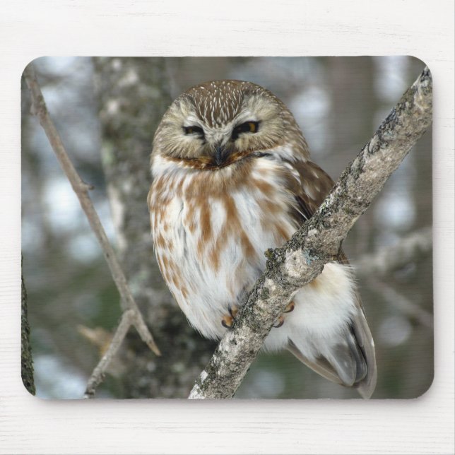 Snow Owl Mouse Pad (Front)
