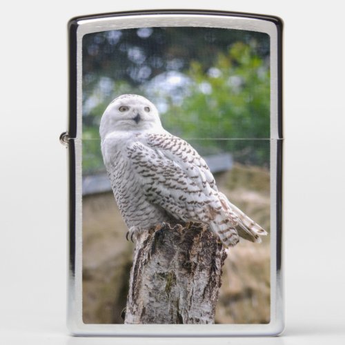 Snow owl zippo lighter