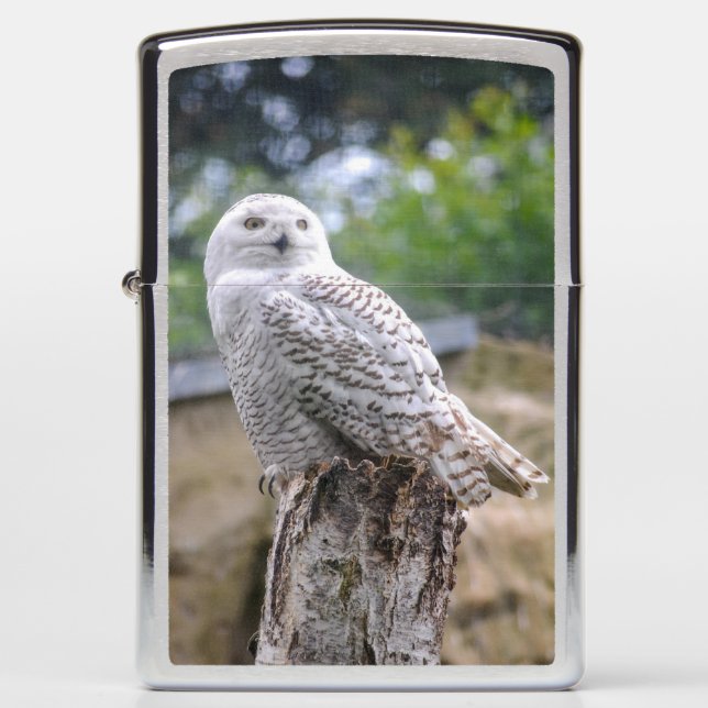 Snow owl... zippo lighter (Front)