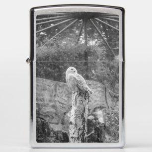 Snow owl... zippo lighter