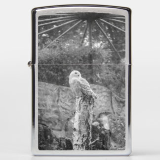 Snow owl... zippo lighter