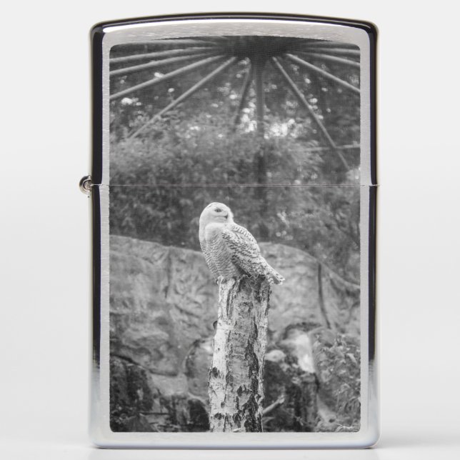 Snow owl... zippo lighter (Front)