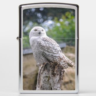 Snow owl...Zippo Pocket Lighter