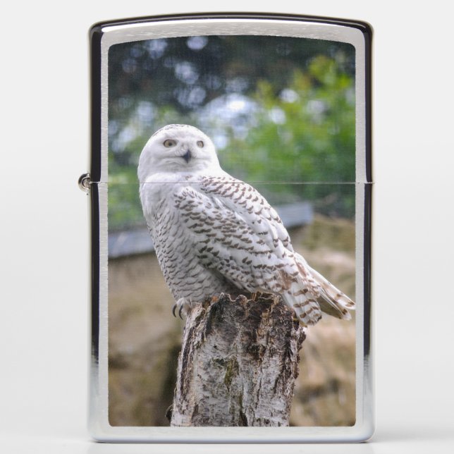 Snow owl...Zippo Pocket Lighter (Front)