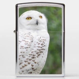 Snow owl...Zippo Pocket Lighter