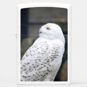 Snow owl...Zippo Pocket Lighter