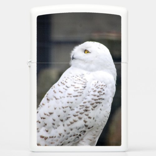 Snow owlZippo Pocket Lighter