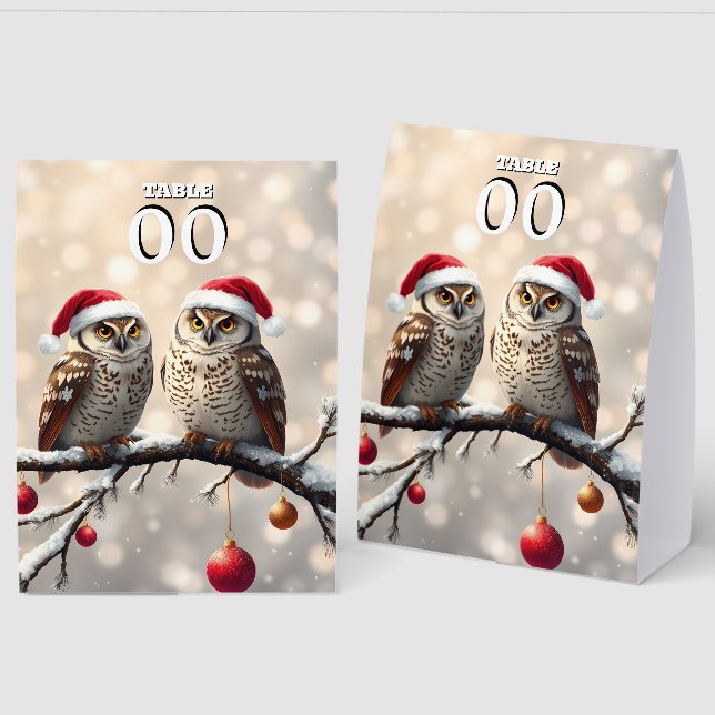 Snow Owls Christmas editable table tent signs (Front/Back)