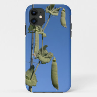 Snow Peas on Blue Sky iPhone 5 Case