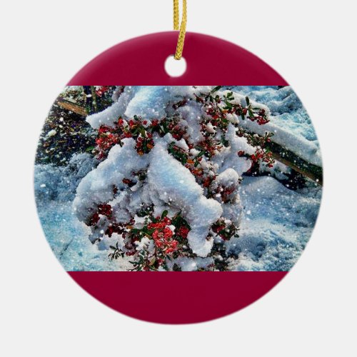 Snow  pictures on an orniment ceramic ornament