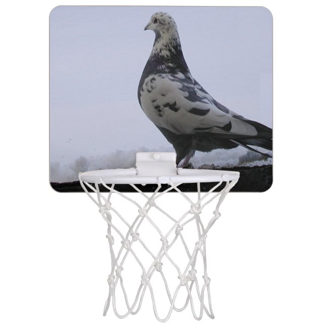 Snow Pigeon Mini Basketball Hoop (Front)