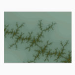 Snow Pine - Fractal Art Postcard