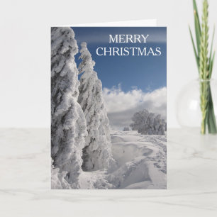 Snow Pine Tree Merry Christmas Holiday Card