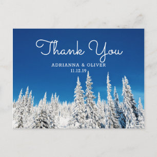 Snow Pine Trees Winter Wedding Thank You Postcard