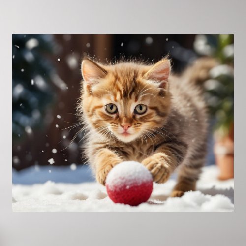  Snow Playing Ball Kitty 54  Kitten Cat AP68 Poster