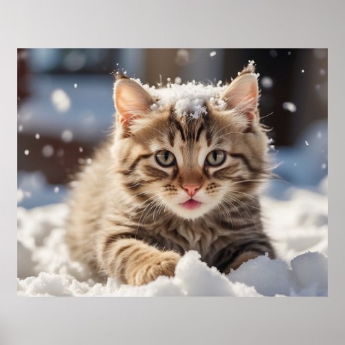  Snow Playing Kitty 54  Kitten Cat AP68 Poster