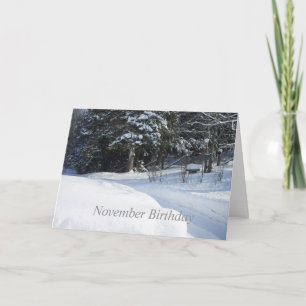 Snow Plowed Country Road Card
