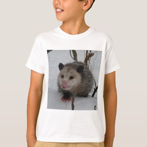 Snow Possum T_Shirt