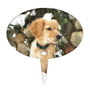 Snow Puppy Cake Topper