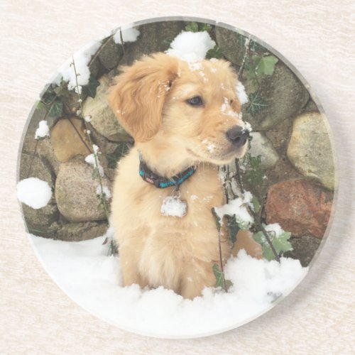 Snow Puppy Coaster
