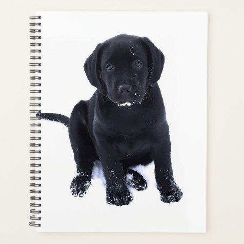 Snow Puppy _ Labrador Puppy _ Black Labrador Planner