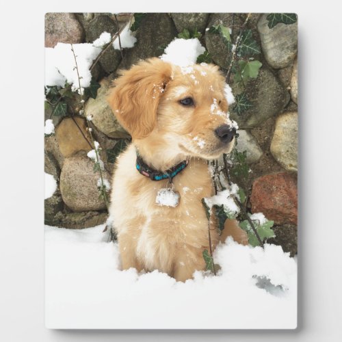 Snow Puppy Plaque