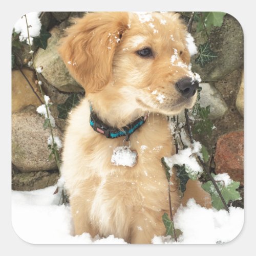 Snow Puppy Square Sticker