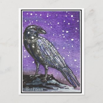 Snow Raven Postcard by GailRagsdaleArt at Zazzle