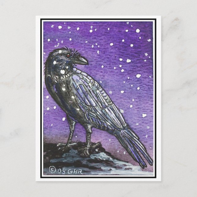 Snow Raven Postcard (Front)