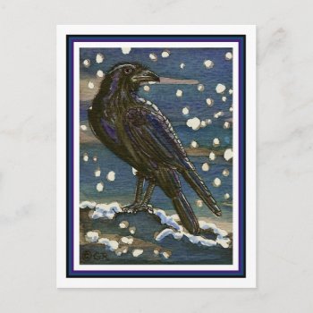 Snow Raven Postcard by GailRagsdaleArt at Zazzle