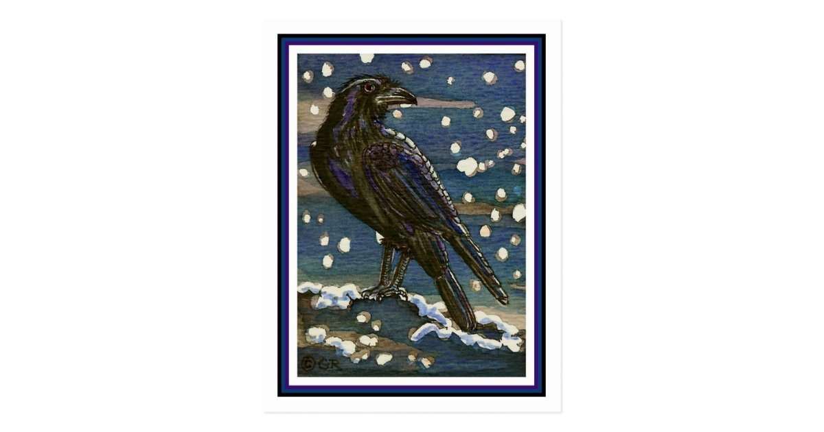 Snow Raven Postcard | Zazzle.com