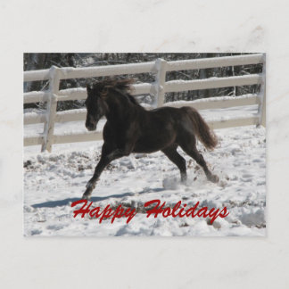 Snow Run #2 Holiday Postcard