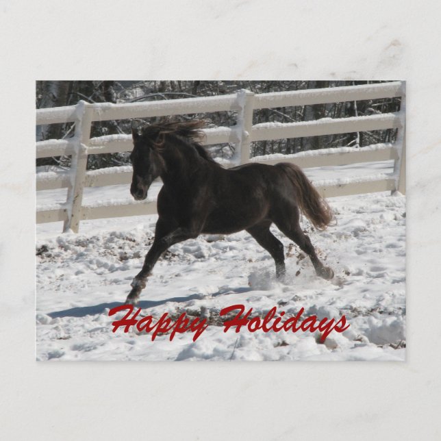Snow Run #2 Holiday Postcard (Front)